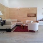 salon-design-et-contemporain-murs-avec-placage-bois