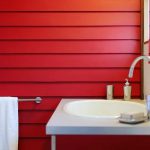 22-18-28-49-Red-paint-bathroom-ideas-56a4a8b05f9b58b7d0d820d2.