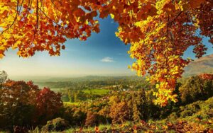 automne deco